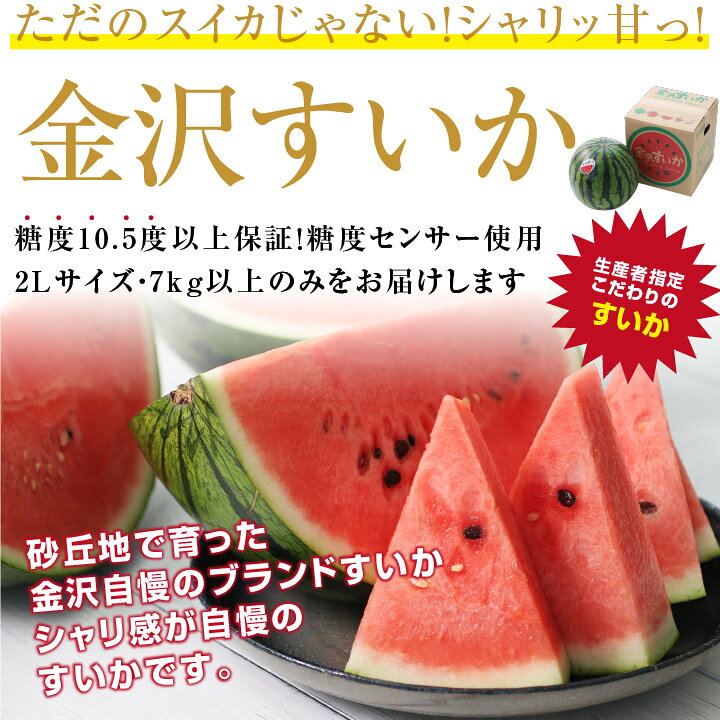 【送料無料】石川産 金沢すいか 7kg以上 2Lサイズ以上 秀品 糖度10.5度保証 産地直...