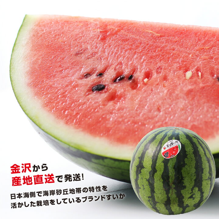 【送料無料】石川産 金沢すいか 7kg以上 2Lサイズ以上 秀品 糖度10.5度保証 産地直...