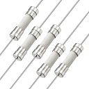 スローブローヒューズ時間遅延リード線 5mm x 20mm 250V T2.5A セラミックヒューズ 5個