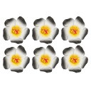PATIKIL ハワイアンハイビスカスの花、6個入りの人工花ヘアクリップDIYフォームハイビスカスの花、テーブルトップ装飾用パーティーフェイバーサプライ、ホワイ...