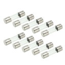 ガラスヒューズ スローブロー ガラスカートリッジヒューズ管 時間遅延ヒューズ 250V 1A 5 mmx20 mm 10個