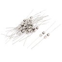 アキシャルヒューズ スローブローアキシャルヒューズ 250V 300mAスルーホール 3.6mm x 10mm 20個