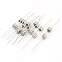 ヒューズ管 アキシャルリード 速断 ガラス 5mm x 20mm 10Amp 250V 10個入り