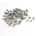 ガラス管ヒューズ 50個入り シルバートーン クリア ガラス メタル 5 x 20mm 250V 1.5A