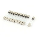 ガラスヒューズ 高速ブロー 250V 3A 6mm x 30mm 10枚入り