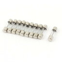ガラスヒューズ管 スローブロー 時間遅延ヒューズ 10個 250V 8A 5mm x 20mm