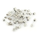 クイックブローガラス管ヒューズ 13A 250V 6x30mm ガラス 金属 30個入り