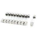 ヒューズ AC250V 10A 6mmx30mm 交換 ガラス管 10個入り