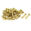 バインディングスクリュ ブラストーン 5x25mm シカゴスクリューポスト レザー スクラップブック 30枚