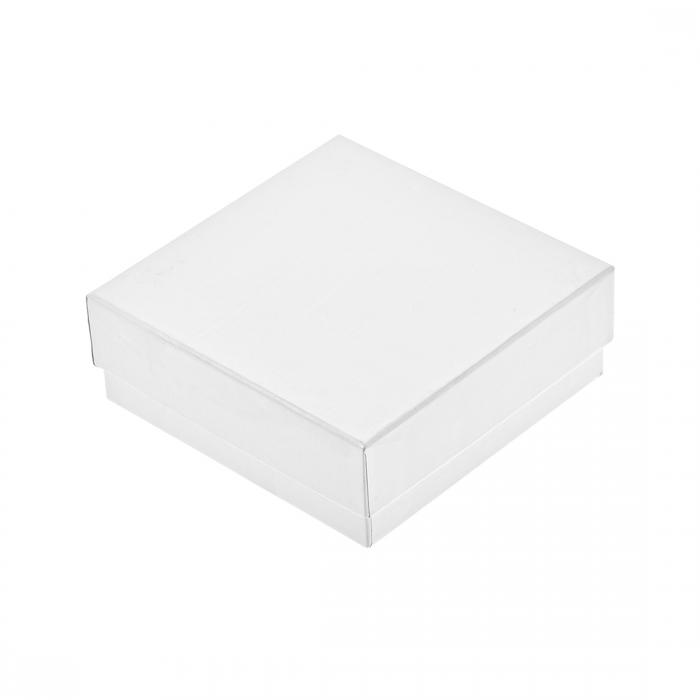 ʬΥ塼֥ե꡼ ߥܥå 36ץ졼 ɿ奫ɥܡ ۥ å 5ml ץ