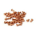 銅ソリッドリベット 3mm x 6mm 円形ヘッド ゴールドトーン 60個入り(4)