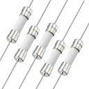 ファストブローヒューズリード線 5mm x 20mm 250V F25A セラミックヒューズ 5個