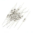 ガラスヒューズ 高速ブロー アキシャルリード AC 250V 2A 4x11mm 20個