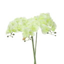 PATIKIL 造花 部屋 インテリア 胡蝶蘭 花束 80cm 3本入り リアルタッチ フェイクフラワー 屋内 花瓶 ホーム 結婚日 記念日 デコレーション用 緑