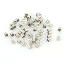 ガラス管ヒューズ 30個 6x30mm 速断低遮断容量 6A 250V