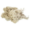PATIKIL 100g/3.5OZ フェイクモス プリ ザーブドトナカイモス 人工苔地衣 センターピース 装飾フェイクモス 鉢植えのクリスマスクラフト用 ナチュラル(3)