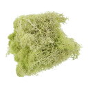 商品詳細 特徴 【属性1】重量：100g/3.5OZ、カラー：イエロー緑、材質：乾燥苔、パッキングリスト:1個 x プリ ザーブドモス【属性2】利点: 当社のプリ ザーブド苔は、自然に生えた苔を脱水、脱色、乾燥、染色などの複雑な工程を経て加工したものです。苔の組織や水分を保持し、植物本来の水分や質感を保ちます。装飾に使用するのに非常に適しています。【属性3】指示: プリ ザーブド苔は飾りたい場所に接着剤で固定することができ、水やりの必要はありません。【属性4】応用：当社のメンテナンスフリーのプリ ザーブドモスは、フラワーアレンジメントやテーブルセンターピースにディテールを加えるのに最適で、クリスマス、結婚式、宴会、誕生日パーティー、リース作り、彫刻モデルの装飾、ホームテーブルの装飾、ギフトバスケットの装飾、DIY工芸品などに適しています。【属性5】注意：苔は染色されているため、水を与えると本来の色が失われてしまいますので、水はかけないでください。生の苔ではないので、花粉も出ず、根も張らず、植栽には使えません。【商品説明】当社のメンテナンスフリーのプリ ザーブドモスは、フラワーアレンジメントやテーブルセンターピースにディテールを加えるのに最適で、クリスマス、結婚式、宴会、誕生日パーティー、リース作り、彫刻モデルの装飾、ホームテーブルの装飾、ギフトバスケットの装飾、DIY工芸品などに適しています。仕様カラー：イエロー緑材質：乾燥苔重量：100g/3.5OZパッキングリスト:1個 x プリ ザーブドモス利点当社のプリ ザーブド苔は、自然に生えた苔を脱水、脱色、乾燥、染色などの複雑な工程を経て加工したものです。苔の組織や水分を保持し、植物本来の水分や質感を保ちます。装飾に使用するのに非常に適しています。指示プリ ザーブド苔は飾りたい場所に接着剤で固定することができ、水やりの必要はありません。注意：苔は染色されているため、水を与えると本来の色が失われてしまいますので、水はかけないでください。生の苔ではないので、花粉も出ず、根も張らず、植栽には使えません。 注意書き ■商品の色及びサイズは、撮影状況やPC環境により多少異なって見える場合がございます。 ■サイズは目安です。商品により若干の誤差がございます。 ■メーカーの都合により、商品細部のデザインや素材が予告無く変更される場合がございます。