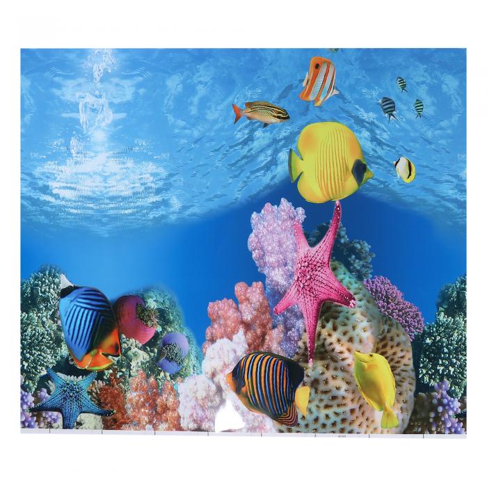 VOCOSTE 水族館の背景ポスター 水族館 水槽の背景装飾ステッカー 両面 82×70cm