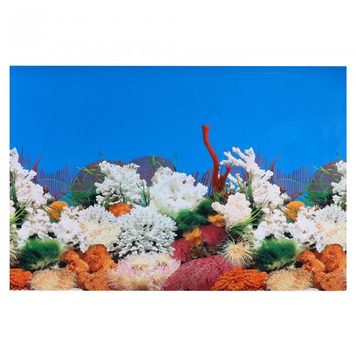 VOCOSTE 水族館の背景ポスター 水族館 水槽の背景装飾ステッカー 両面 PVC 122×80cm