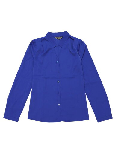 Allegra K シフォンブラウス シャツ Vネック ワーク オフィス ボタンアップ エレガント レディース ロイヤルブルー XS Allegra K シフォンブラウス シャツ Vネック ワーク オフィス ボタンアップ エレガント レディース ロイヤルブルー XS