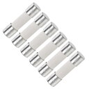 交換用ヒューズ カートリッジヒューズ 1A 250V 5x20mm 遅効性 車 オーディオ アンプ セラミック 6個入り