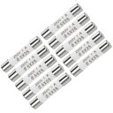 交換用ヒューズ 1A 250V 5x25mm カートリッジヒューズ 高速ブローカーオーディオアラームアンプセラミック 10個入り