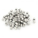 ミニチュアガラスヒューズ AC 250V 2.5A スローブロー ミニチュアガラス管ヒューズ 10x4 mm 50個
