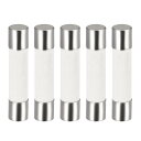 セラミックカートリッジヒューズ 6.3A 250V 6x30mm セラミックヒューズの高速ブロー交換 アンプ省エネランプバラスト用 5個