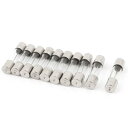 ヒューズ AC250V 10A 5mmx20mm 交換 ガラス管 10個入り