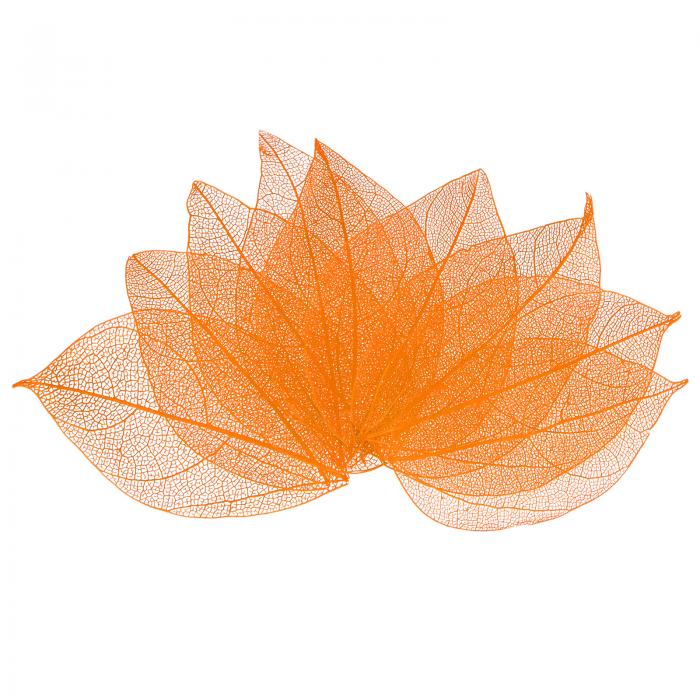 M METERXITY 100パックのスケルトンリーフ、天然ゴムツリーの乾燥押し葉、レジン/ DIYクラフトカード/..