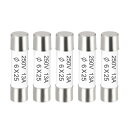 セラミックカートリッジヒューズ 13A 250V 6x25mm セラミックヒューズの高速ブロー交換 アンプ省エネランプバラスト用 5個