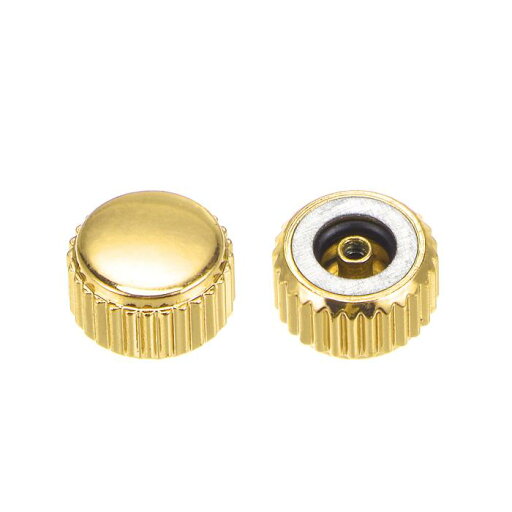 5.5 mm時計クラウン部品 フラットヘッド 短ステム ステンレス製 時計リペア用 内径2.5 mm ゴールドトーン 2個入り 5.5 mm時計クラウン部品 フラットヘッド 短ステム ステンレス製 時計リペア用 内径2.5 mm ゴールドトーン 2個入り