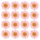 PATIKIL 48個 ドライ押し花 ナチュラルドライデイジーフラワー DIYアートクラフト 家の装飾 ネイルデコレーション用 ピンク