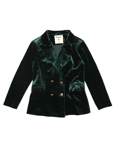 Allegra K レディース ベルベットブレザー ノッチドラペル 長袖 ダブルブレスト ブレザー ジャケット ダークグリーン M Allegra K レディース ベルベットブレザー ノッチドラペル 長袖 ダブルブレスト ブレザー ジャケット ダークグリーン M