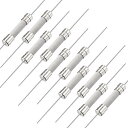 速断ヒューズ リード線 セラミックヒューズ 6mm x 32mm 250V F15A 10個入り