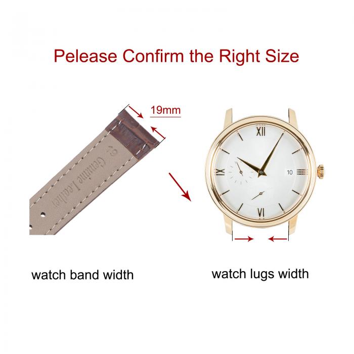 牛革レザーバンド 交換用キット 展開バックルウォッチストラップ 19mm レザーストラップ スプリングバー付き ブラウン