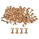100セットのレザーリベット 8x12mmのダブルキャップリベット 革クラフト修理DIY財布ベルトバッグ靴用 ライト金