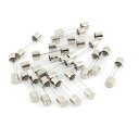 クイックブロー ガラス管ヒューズ メタル製クリア 6x30mm 13Amp 250V 12個入り