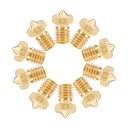 ブラスノズル ブラス製 ブラストーン 0.3mm 3Dプリンターノズルヘッダm6スレッド V5 V6 1.75mm押出機の印刷 10個入り