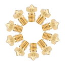 ブラスノズル ブラス製 ブラストーン 0.4mm 3Dプリンターノズルヘッダm6スレッド V5 V6 1.75mm押出機の印刷 10個入り