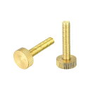 ローレットつまみねじ M8x40 mm フラットブラスボルト グリップノブファスナー PC 電子 機械用 2個