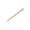 螺旋デッキネイル 炭素鋼 ネイル螺旋シャンク 53 mmx2mm(LxD)100個入り