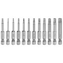 12個 トルクススクリュードライバービットT5/T6/T7/T8/T9/T10/T15/T20/T25/T27/T30/T40 S2鋼1/4