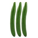 置物 人工野菜 写真 プロップ 装飾 手作り 人工 キュウリのデザイン 野菜 成型 グリーン 3個入り