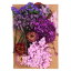PATIKIL ナチュラルドライフラワー 複数のカラフル 本物のドライ押し花植物 クラフト樹脂 ソープ キャンドル スクラップブッキング用 パープルシリーズ