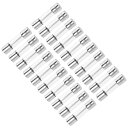 交換用ヒューズ 30A 250V 5x20mm カートリッジヒューズ 高速ブローカー ステレオオーディオアンプガラス 20個入り