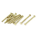 スクリューポスト バインディング シカゴ スクラップブックレザー 5x60mm 真ちゅうメッキ 10個入り
