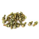 六角頭ボルト&ワッシャー M6x20mm フラットスプリットワッシャー 金属素材 ブロンズトーン 25個入り
