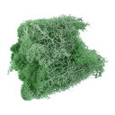 PATIKIL 1.8オンス フェイクモス プリザーブドトナカイモス 人工苔地衣センターピース装飾 フェイクモス 鉢植え クリスマス クラフト用 エメラルド緑