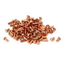 銅ソリッドリベット 2mmx4mm 直軸 5mmの長さ 100個入り ハードウェア ゴールドトーン(4)